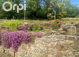 Photo n°6