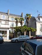 Photo n°1