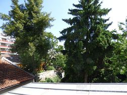 Photo n°5