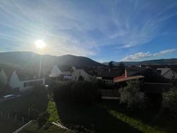 Photo n°6