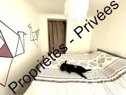 Photo n°5