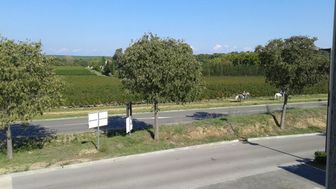 Photo n°6