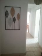 Photo n°1