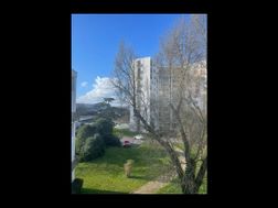 Photo n°5