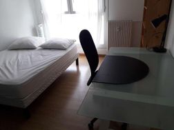 Photo n°4