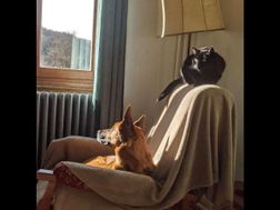 Photo n°3