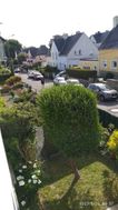 Photo n°6