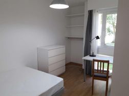 Photo n°3