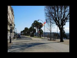 Photo n°8