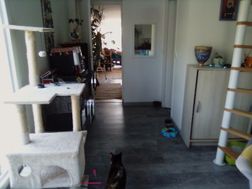 Photo n°3