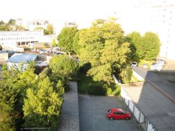 Photo n°8