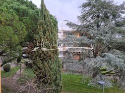 Photo n°1