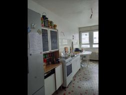 Photo n°6