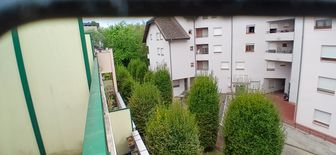 Photo n°6