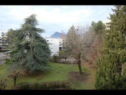 Photo n°8