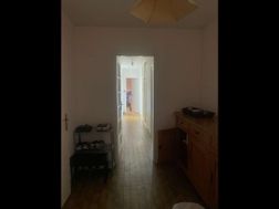 Photo n°6