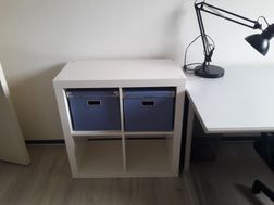 Photo n°4