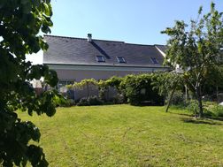 Photo n°4