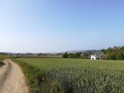 Photo n°3