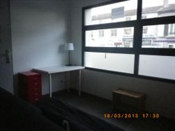 Photo n°3