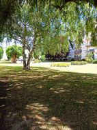 Photo n°6