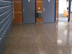 Photo n°2