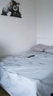 Photo n°5