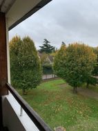 Photo n°6