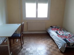 Photo n°6