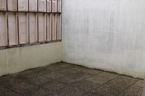 Photo n°5