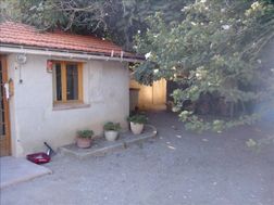 Photo n°3