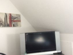 Photo n°3