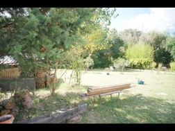 Photo n°6