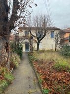 Photo n°5