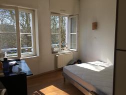 Photo n°4