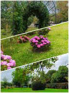 Photo n°3