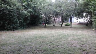 Photo n°6