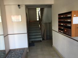 Photo n°6