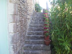 Photo n°6