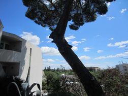 Photo n°1