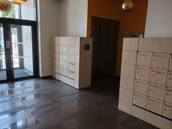 Photo n°4