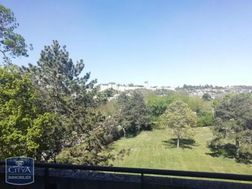Photo n°4