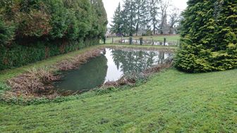 Photo n°6