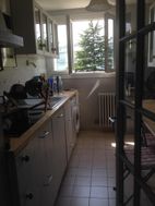 Photo n°3