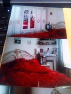 Photo n°3