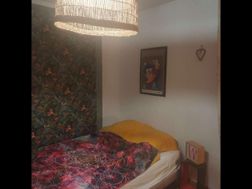 Photo n°5