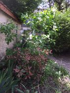 Photo n°6