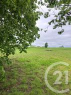 Photo n°5