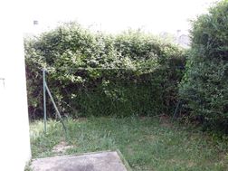 Photo n°5