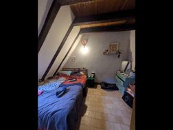 Photo n°8